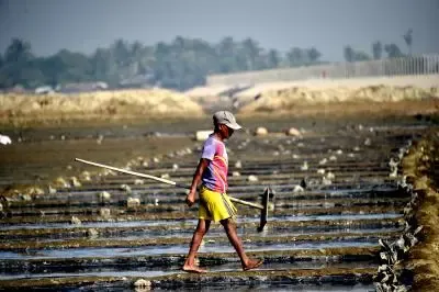 Bangladesh-US trade deal threatens 4.1 crore farming households, expert warns