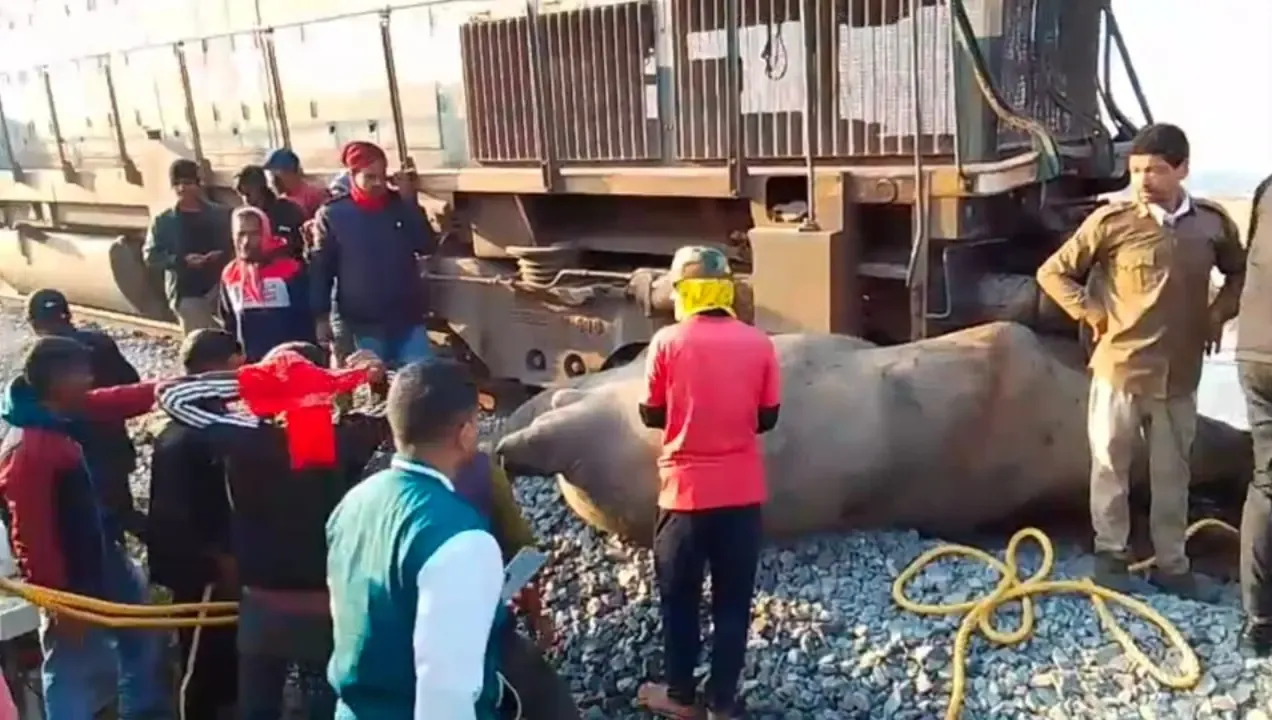 How did the Rajdhani Express derail in Assam, killing seven elephants?