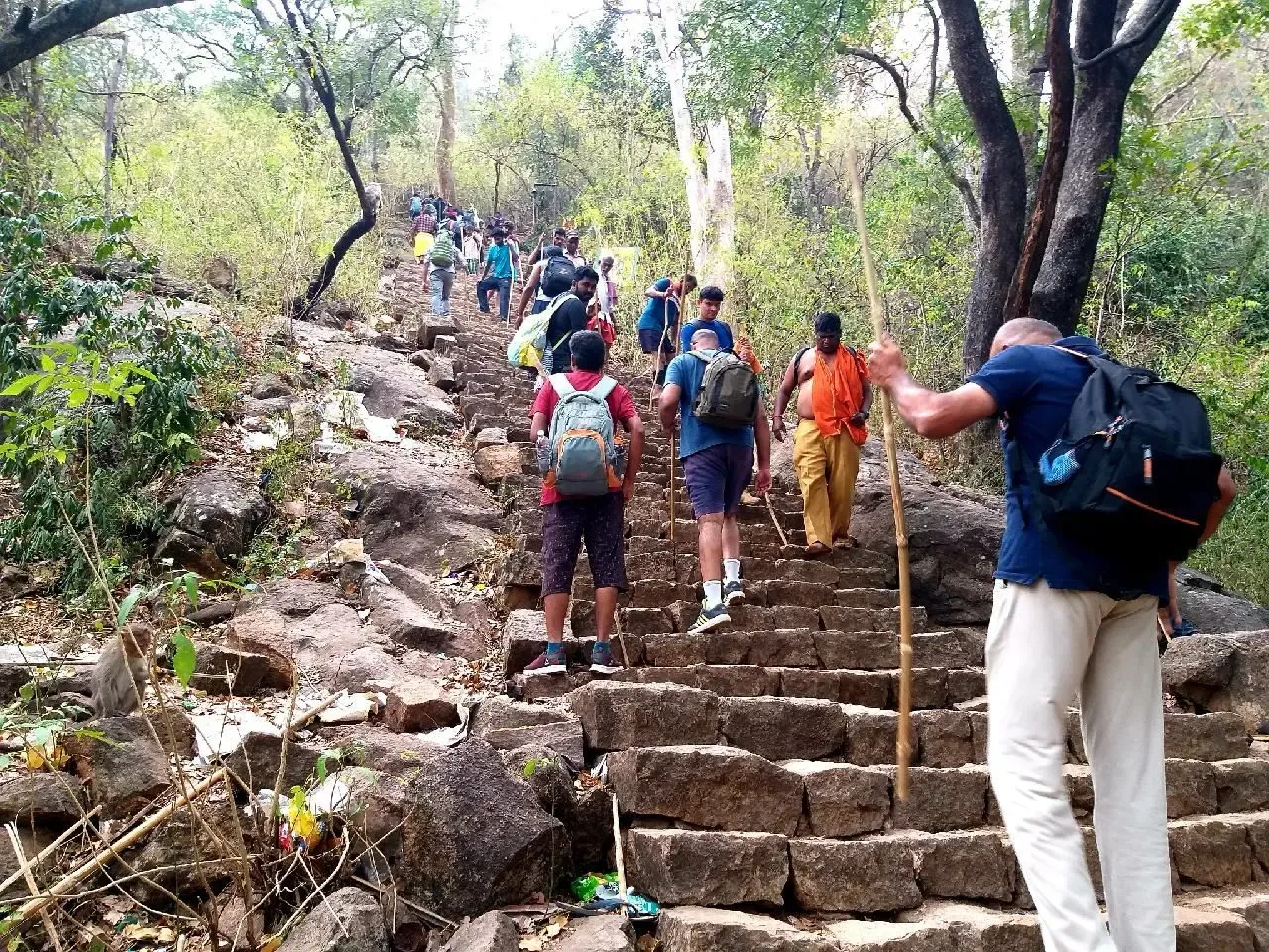 When Does the Trekking Season at TN's Velliangiri Hills Start?