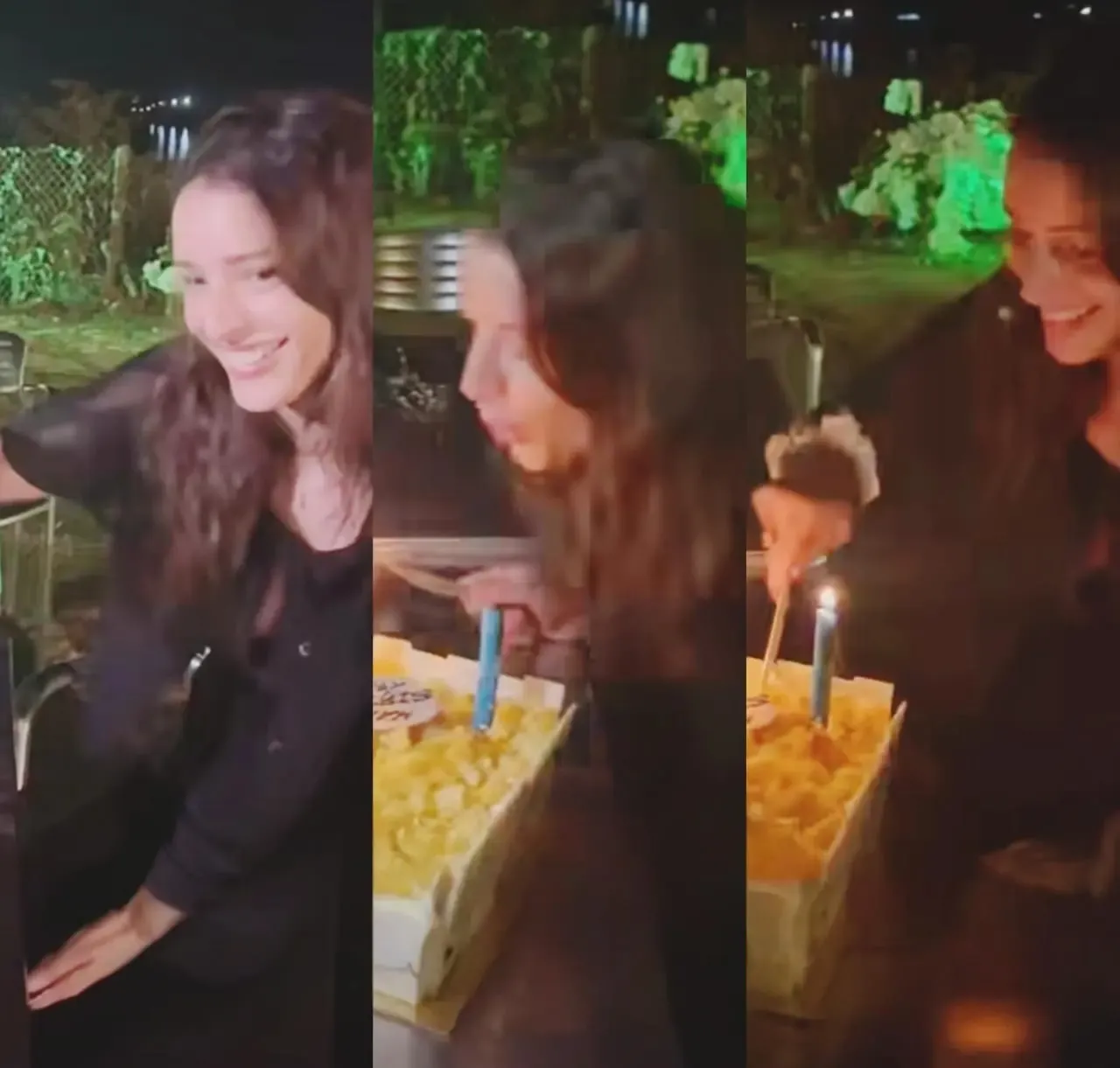 Triptii Dimri Celebrates 31st Birthday: Sam Merchant Affectionately Calls Her ‘Best Soul’