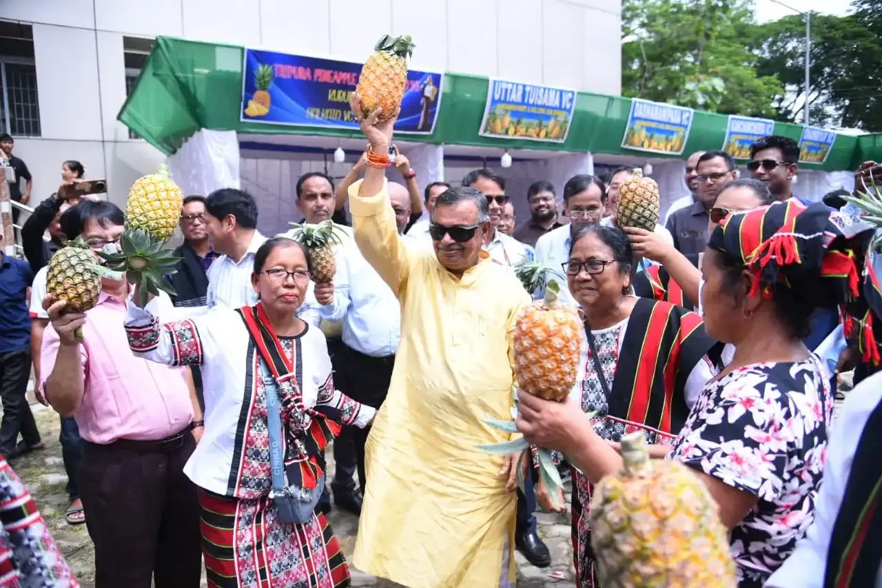 How Much Pineapple Has Tripura Exported in Seven Years?