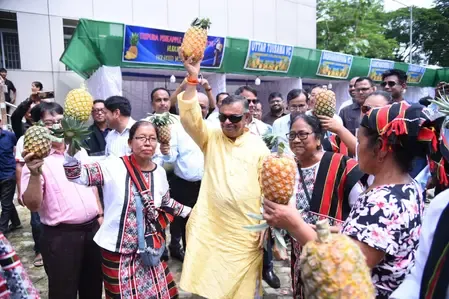 How Much Pineapple Has Tripura Exported in Seven Years?