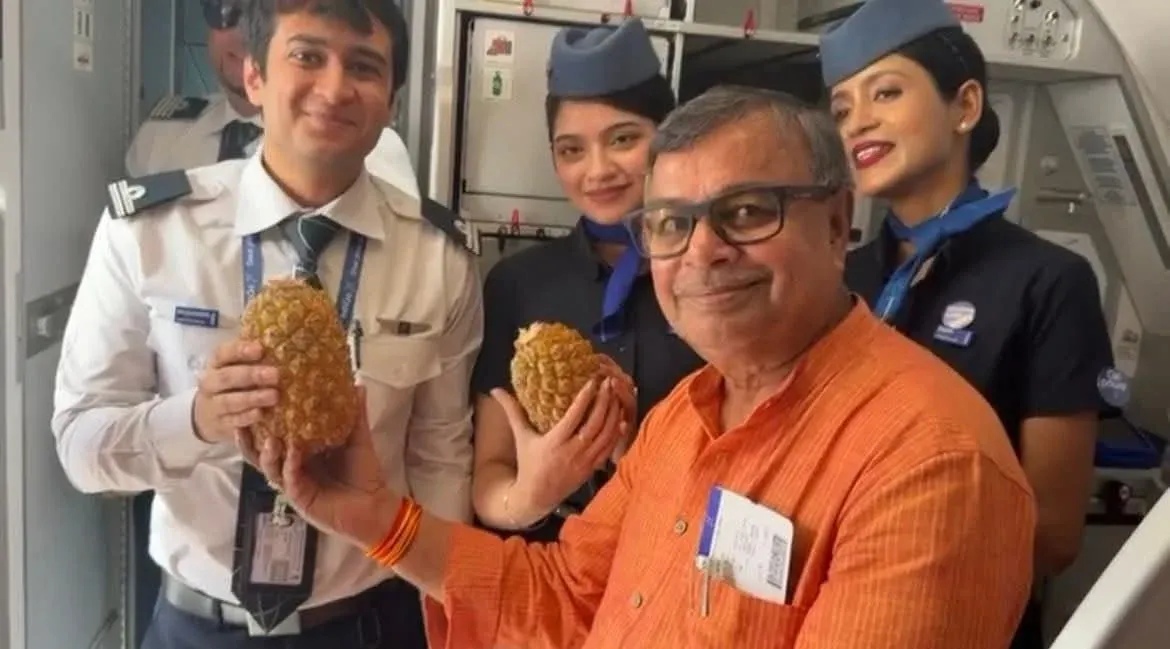 Tripura to expand Queen pineapple cultivation to 15,000 hectares in 3 years