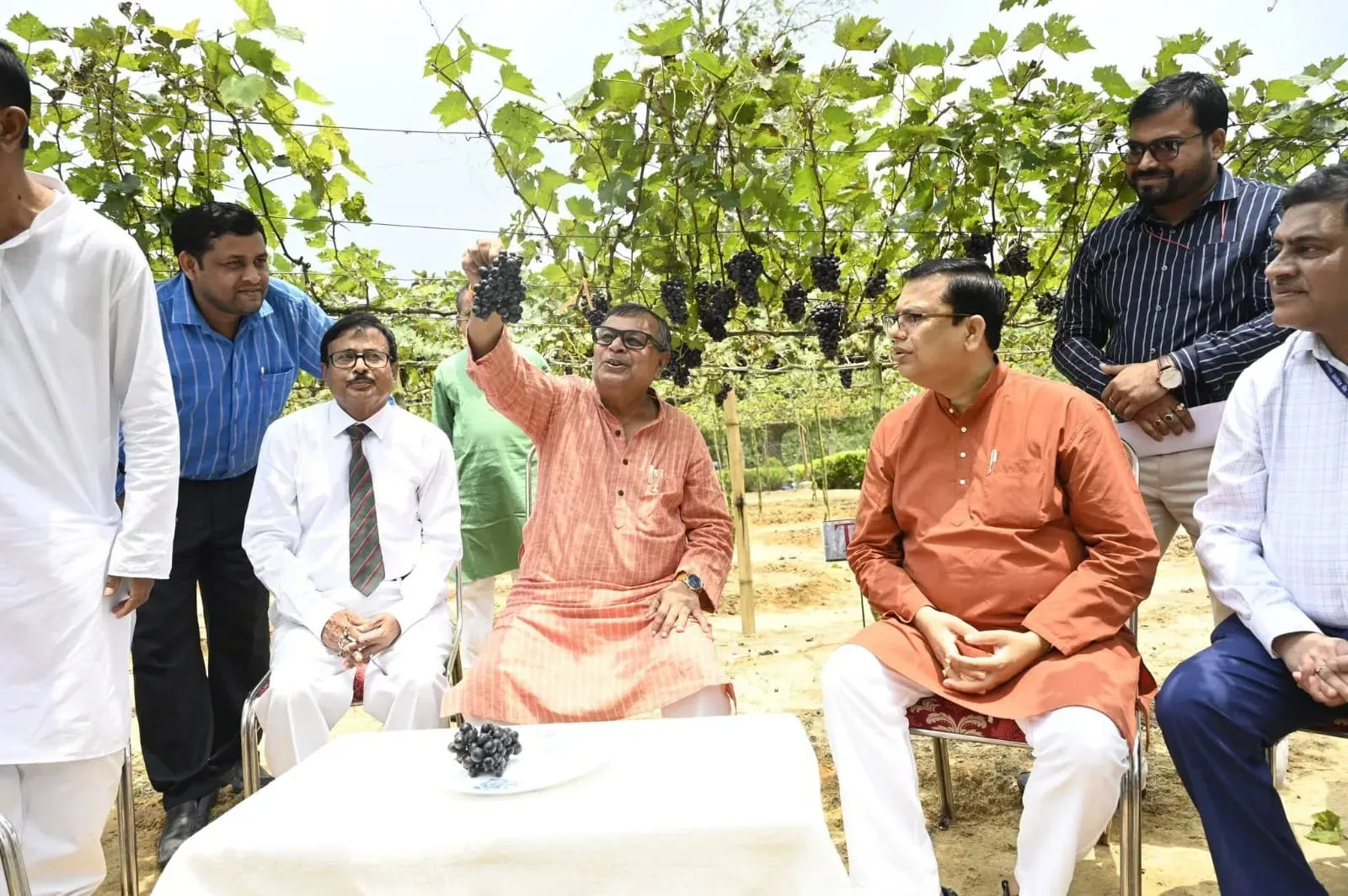 Tripura grape revolution: First sweet harvest sparks 18-variety trial push