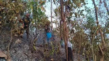 Army and Assam Rifles Successfully Control Forest Fire Near India-Myanmar Check Post