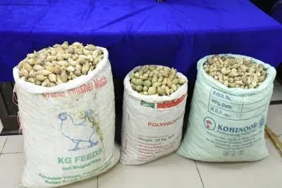 Truck with over 200 kg poppy straw seized in J&K’s Udhampur
