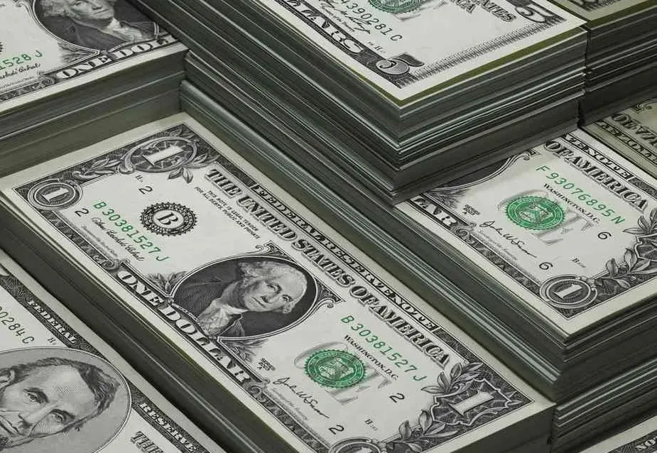 Investigation Launched by Turkish Authorities into Fake US Dollar Circulation
