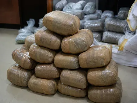 DRI seizes 104.9 kg ganja in Bihar, arrests two under NDPS Act