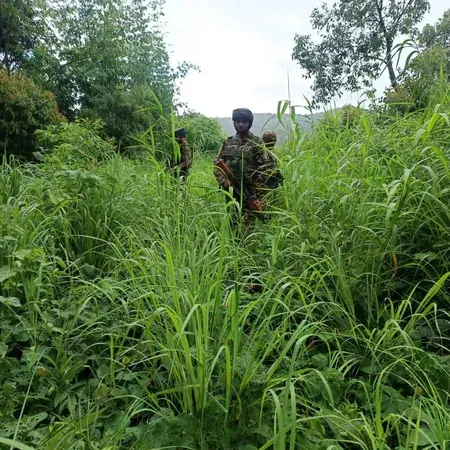 Two Assam Rifles personnel killed in Naga group ambush in Manipur's Ukhrul