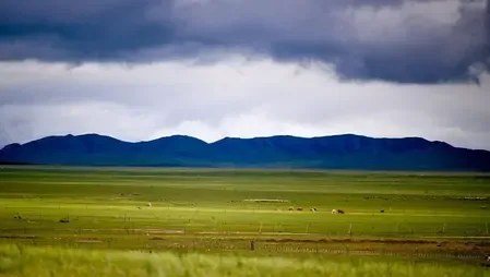 Have Two More Cases of Bubonic Plague Emerged in Mongolia's Khuvsgul?