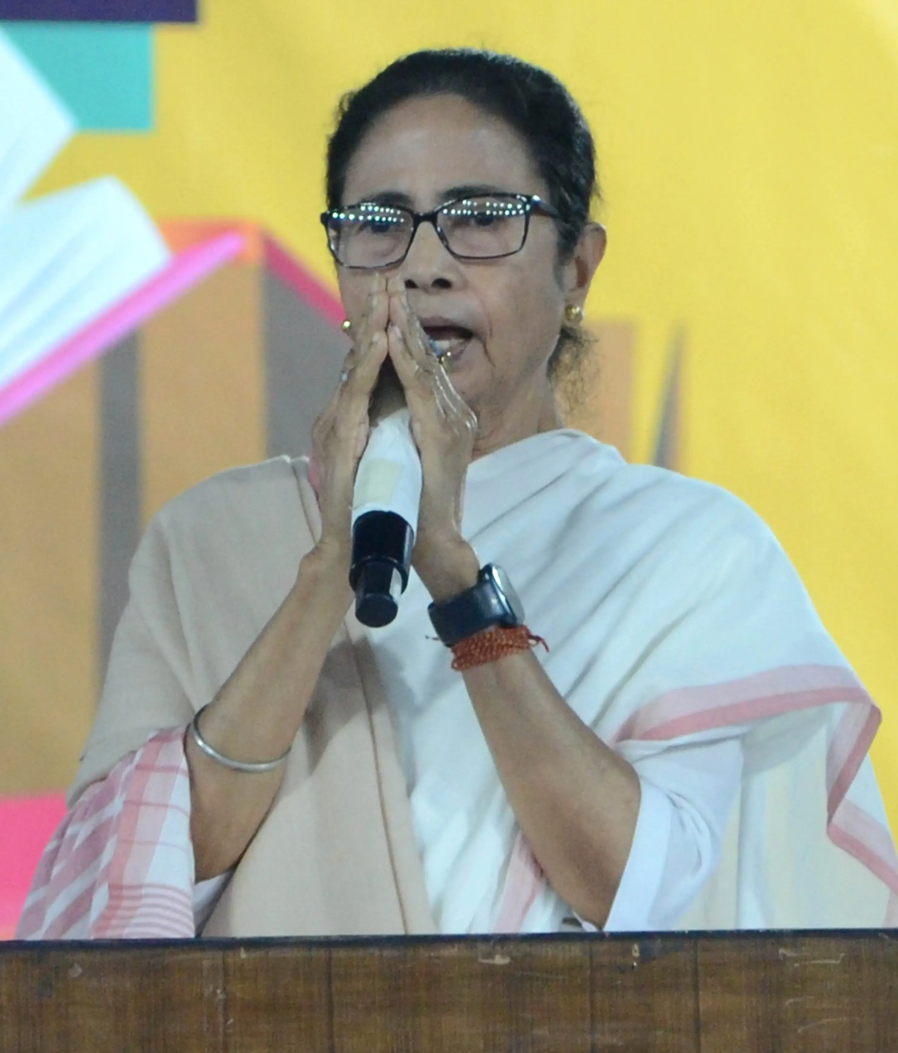 Trinamool Congress Chooses Two Images of Mamata Banerjee for Party Events