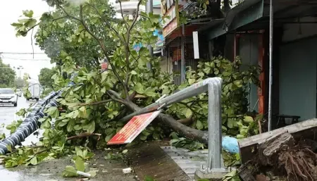 Typhoon Bualoi leaves 19 dead, 88 injured in Vietnam