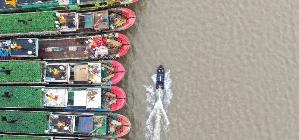 Typhoon Champi hits Taiwan: 20 cities shut, 260+ flights cancelled