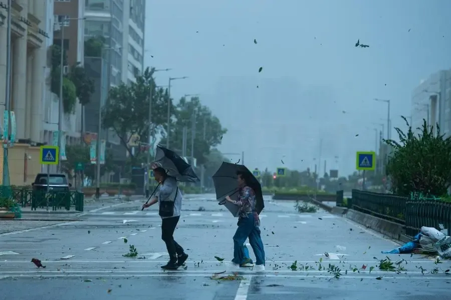 What Impact Did Typhoon Peipah Have on Japan's Shizuoka Prefecture?