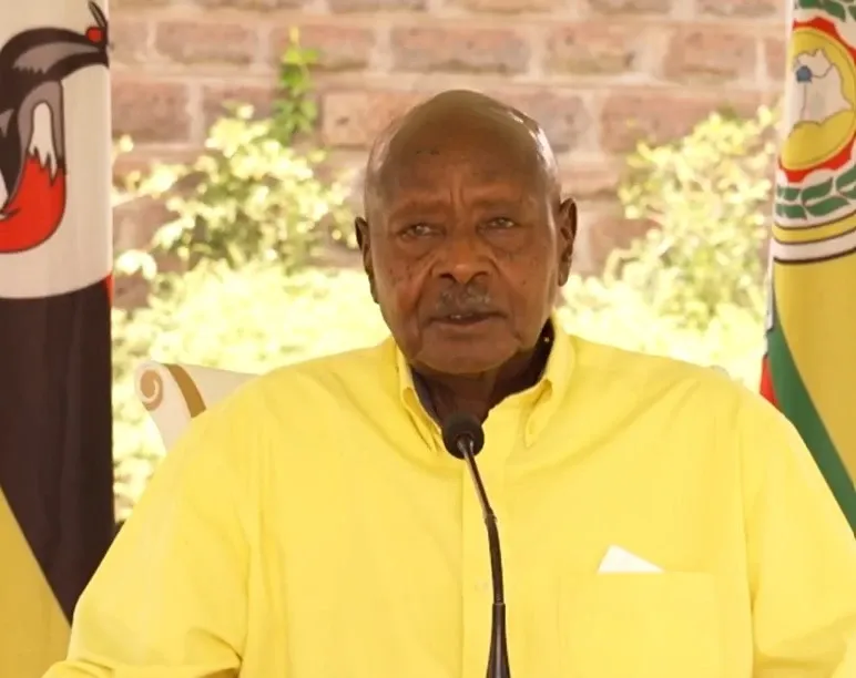 Have joint military operations defeated insurgents in South Sudan and Congo?