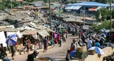 Food Aid Reductions Threaten Survival of Rohingya Refugees in Bangladesh: Urgent Report