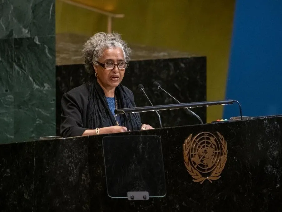 What Does the UN General Assembly's Declaration of December 4 Mean for International Relations?