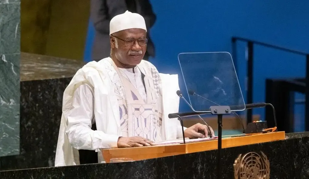 Should the UN General Assembly and Security Council Operate as Complementary Entities?