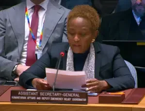 UN Officials Raise Alarm Over Violence in DRC