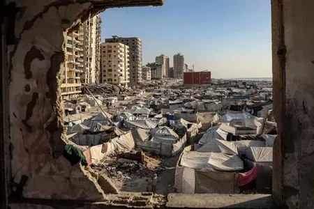 UN scales up Gaza health response as rodent infestation hits 83% of sites
