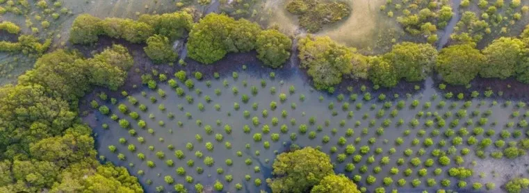 How Did the UN Choose World Restoration Flagships Across Three Continents?