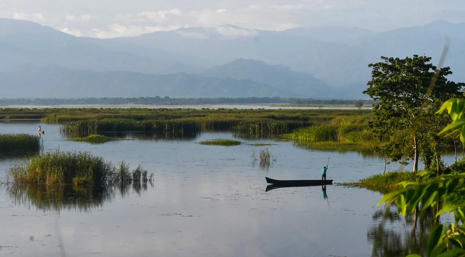 India's July 2026 monsoon beats forecasts, study links shift to climate change