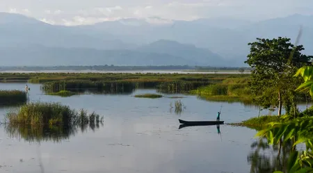 India's July 2026 monsoon beats forecasts, study links shift to climate change