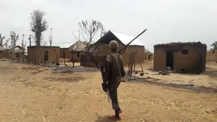 Nigeria attack: 58 killed in Taraba State's Binnari community