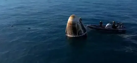 Unexpected Reunion: Dolphins Welcome Astronauts Home After Extended Space Voyage