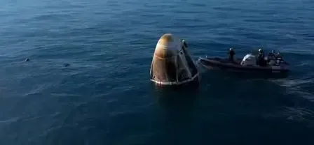 Unexpected Reunion: Dolphins Welcome Astronauts Home After Extended Space Voyage