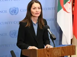 UNSC President Optimistic About Possible Peace in Ukraine Conflict