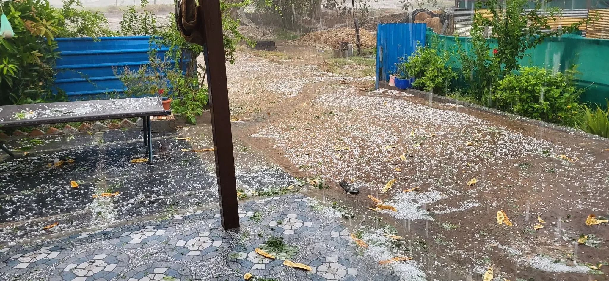 Severe Hailstorms and Rain Cause Destruction in Bihar