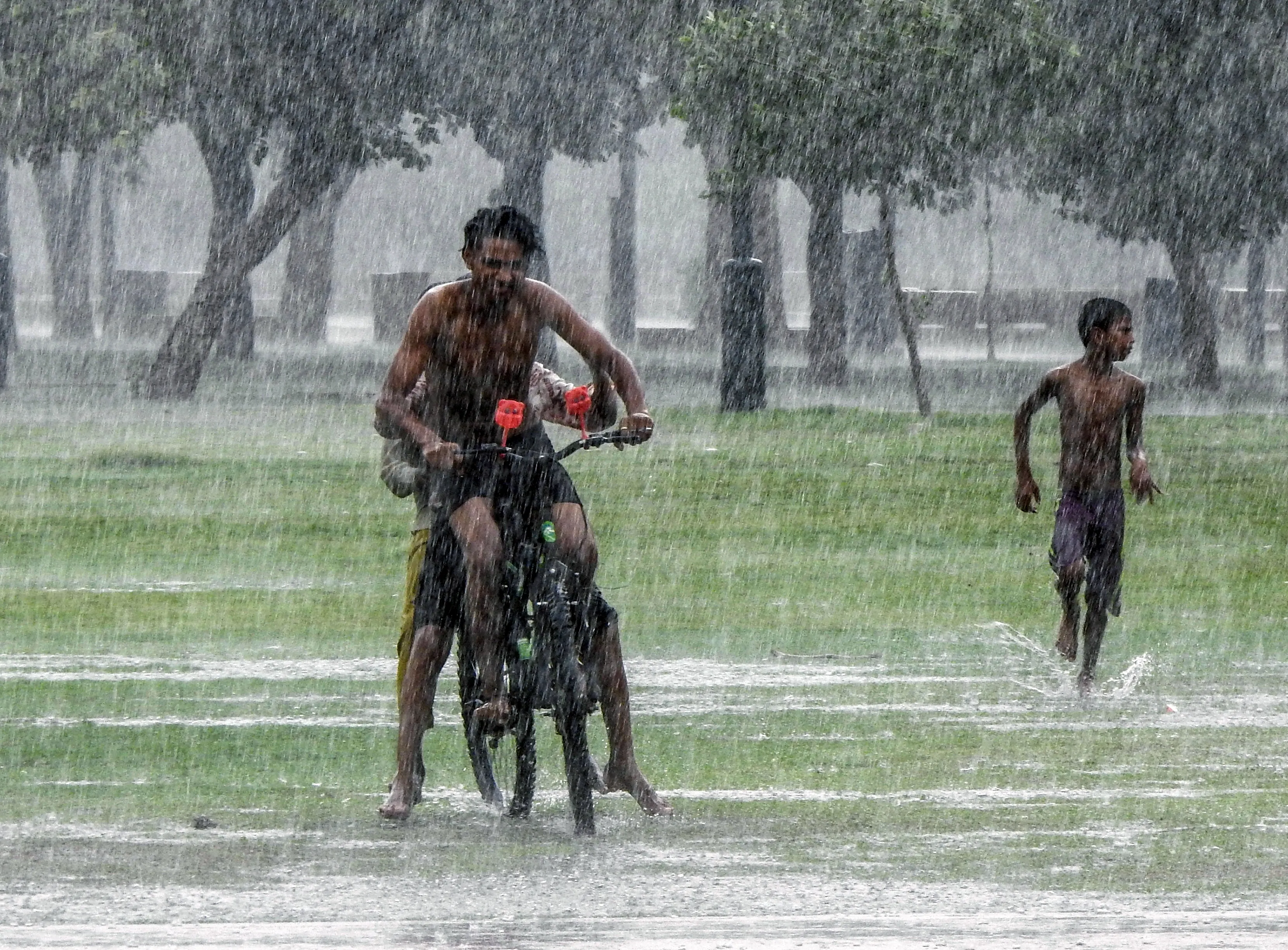 What Impact Did Unseasonal Rains Have on Gujarat's Crops?