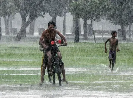 What Impact Did Unseasonal Rains Have on Gujarat's Crops?