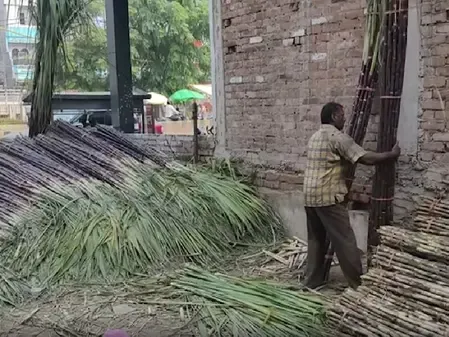 यूपी में गन्ना किसानों का जीपीएस सर्वे 1 मई से, CM योगी के आदेश पर नई नीति लागू