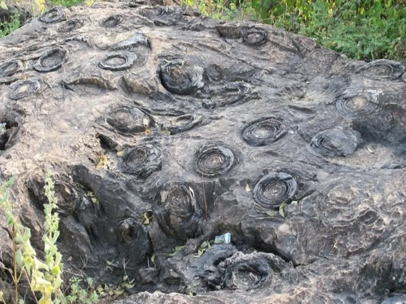 Did UP’s Salkhan Fossils Park Just Make It to UNESCO's Tentative World Heritage List?