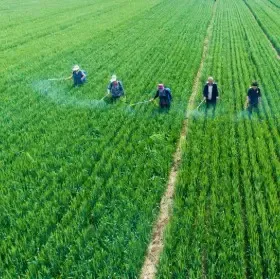 EPA blocks 1.6 million lbs of illegal pesticides, flags China-linked imports