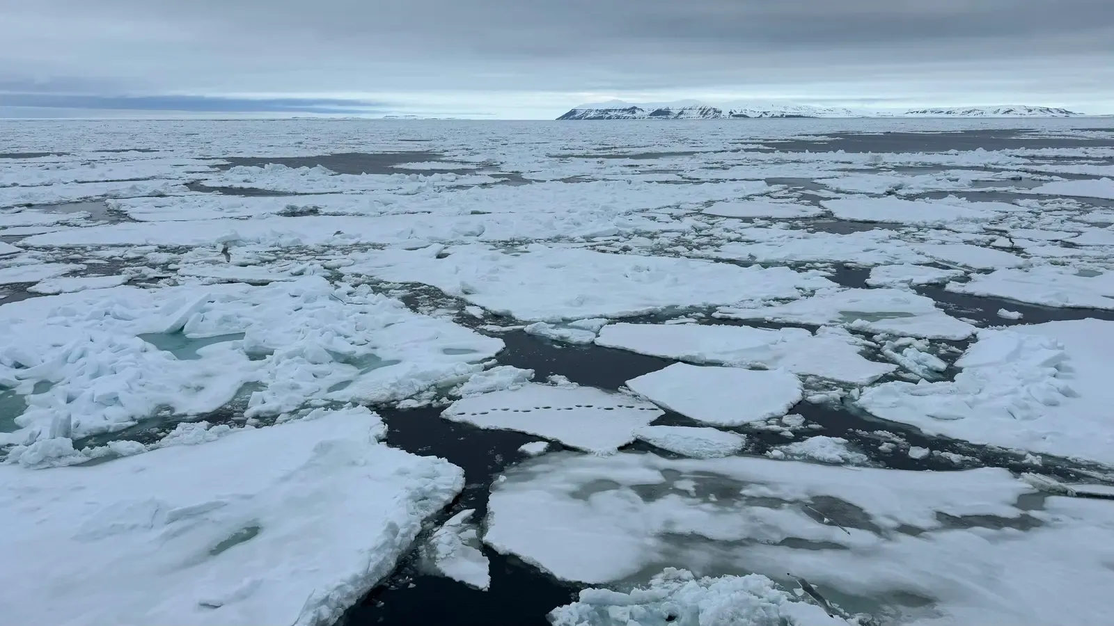 US, Japan, South Korea sign Arctic cooperation pact at G20 Atlanta