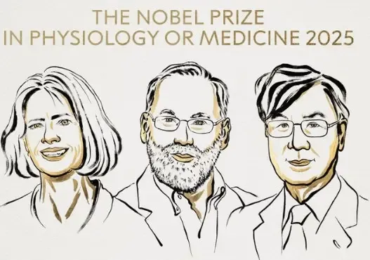 Why Were US and Japanese Scientists Honored with the 2025 Nobel Prize for Medicine?