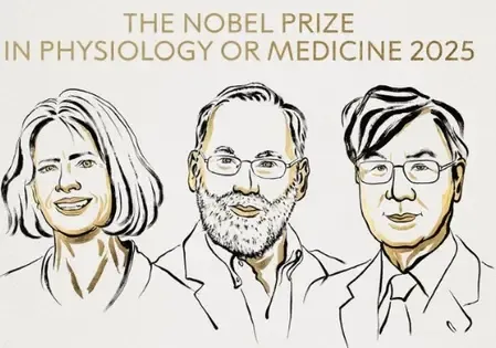 US, Japanese scientists awarded 2025 Nobel Prize for Medicine for discovery on immune system