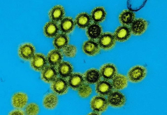 What is the US's Next-Gen Universal Vaccine Platform for Pandemic-Prone Viruses?