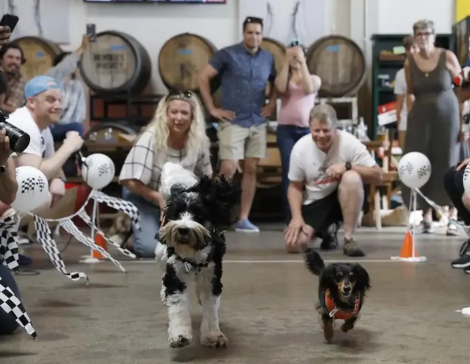 US Pet Industry Surges to $157 Billion Amidst Challenges