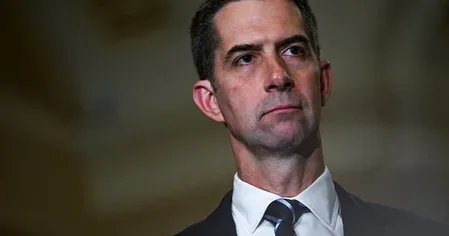 US senator urges ban on Chinese AI models for government contractors