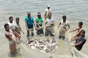 How Are US Tariffs Affecting Andhra Pradesh’s Aqua Sector?
