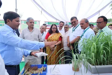 Leverage Technology to Tackle Green Fodder Shortage: Union Minister Rajiv Ranjan Singh