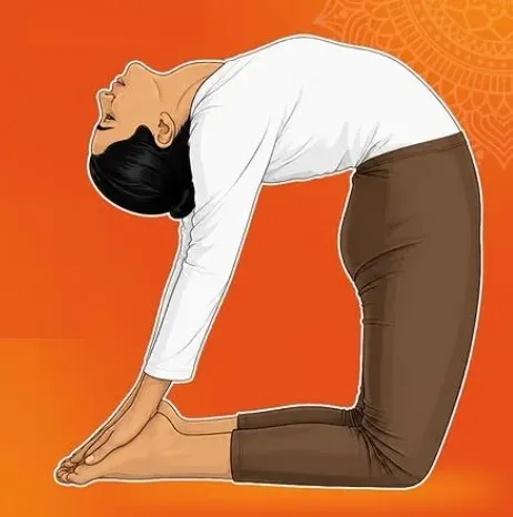 उष्ट्रासन से दूर होगी दिनभर की सुस्ती और थकान, आयुष मंत्रालय ने बताई सही विधि