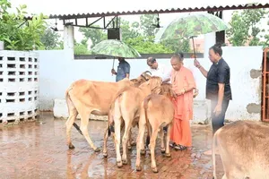 UP cowsheds to drive rural industry under 'One District-One Innovation' model