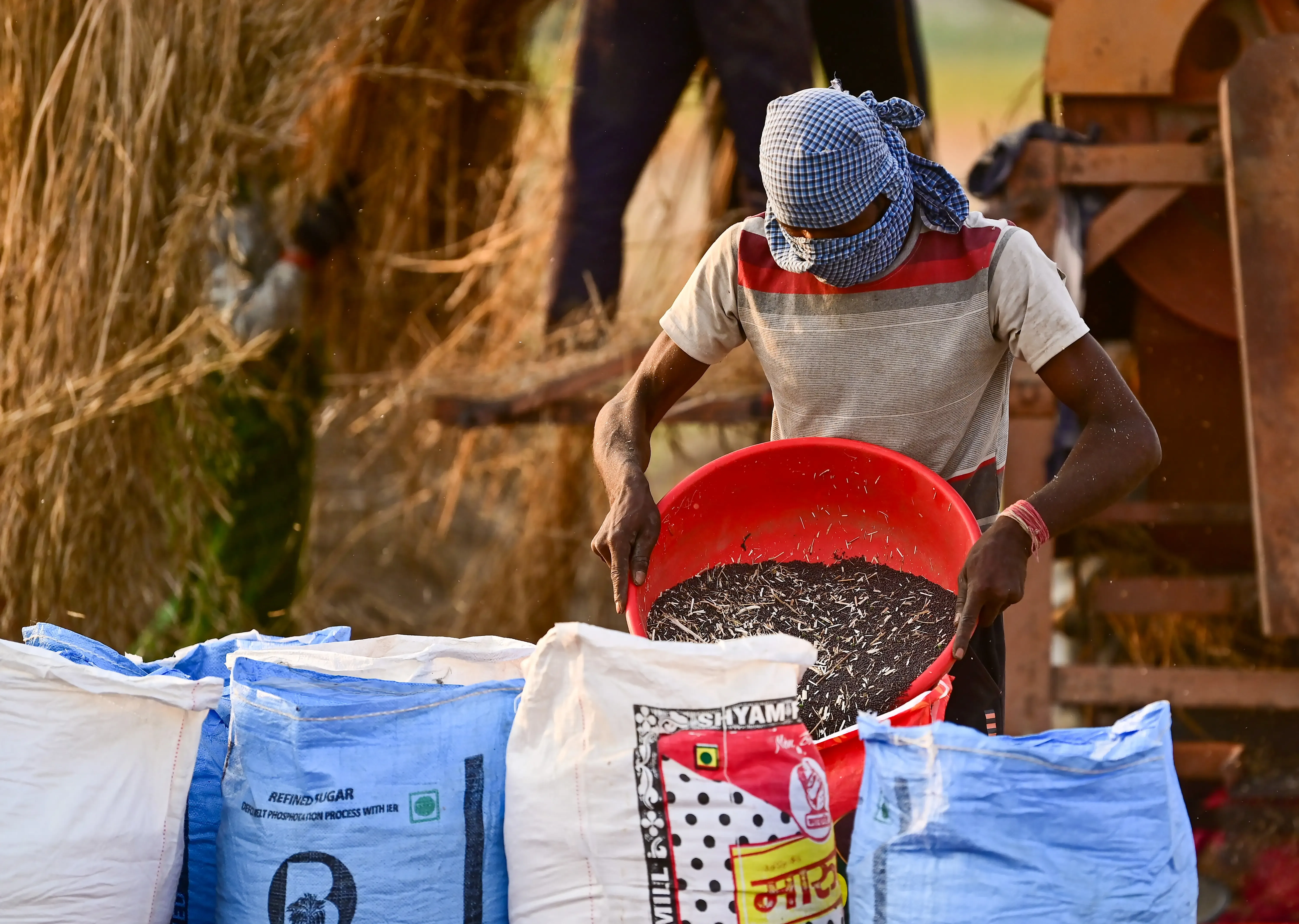 Uttar Pradesh Tops Crop Procurement via GeM Portal, Followed by Gujarat and Maharashtra