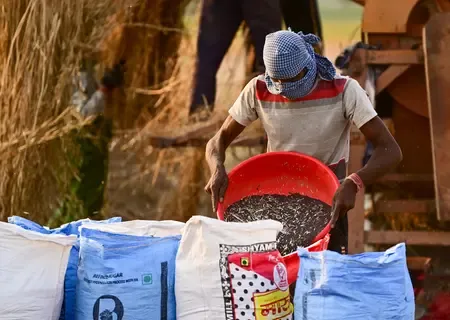 Uttar Pradesh Tops Crop Procurement via GeM Portal, Followed by Gujarat and Maharashtra