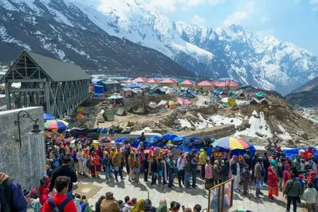 चारधाम यात्रा 2025: 19 दिनों में 7.72 लाख से अधिक श्रद्धालुओं ने किए दर्शन, 29 की मौत